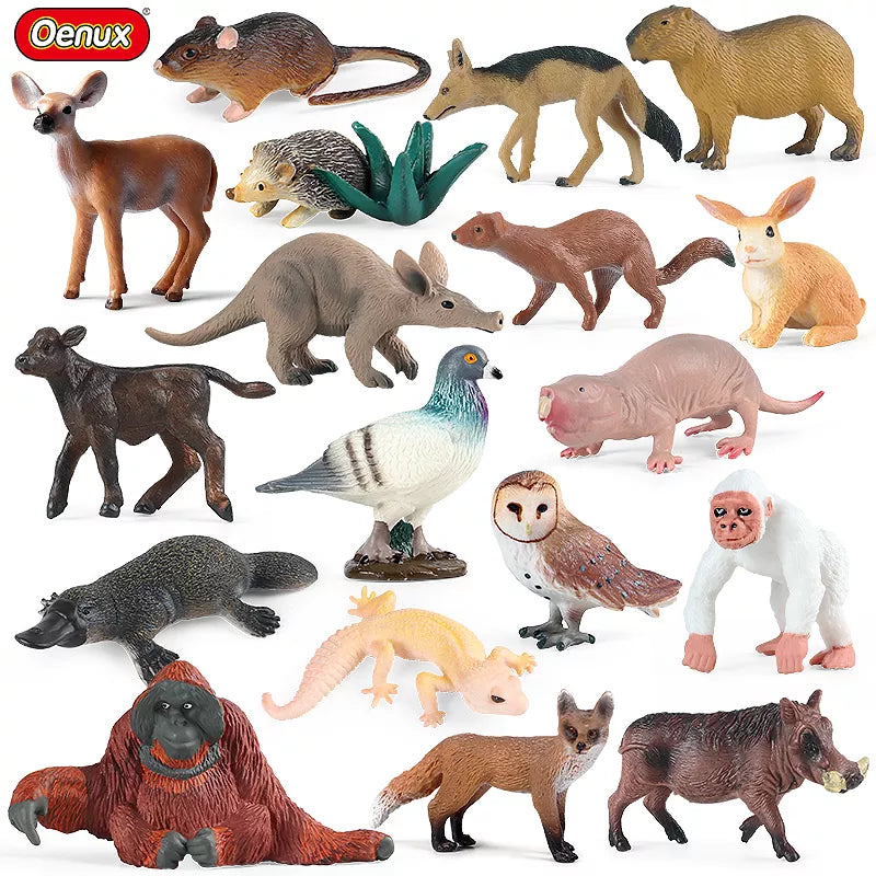 Oenux New Wild Animals Forest Orangutan Pigeon Hedgehog Aardvark Capybara Action Figure Model Figurines PVC Collection Kids Toy